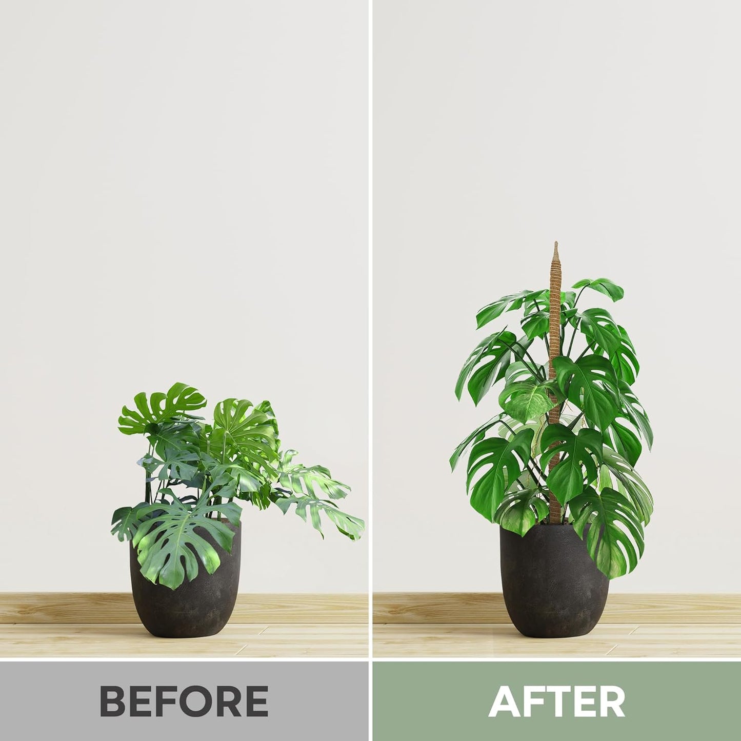 2 Pack 28'' Bendable Moss Pole Monstera Plant Support for Climbing Indoor Plants - Stakes for Potted Climbers - Tall Sticks Indoor Trellis for Houseplants - Accessories for Monstera Pot