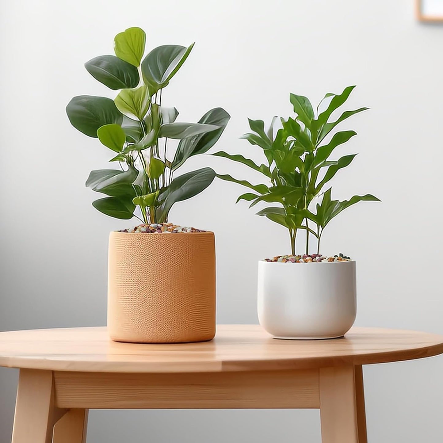 2.5 lbs Pebbles for Indoor Plants, Succulent Rocks, 3/8" Polished Pebbles for Bamboo, Vase, Terrarium, Natural Decorative Small River Rocks for Crafts, Cactus, Outdoor Garden Landscaping