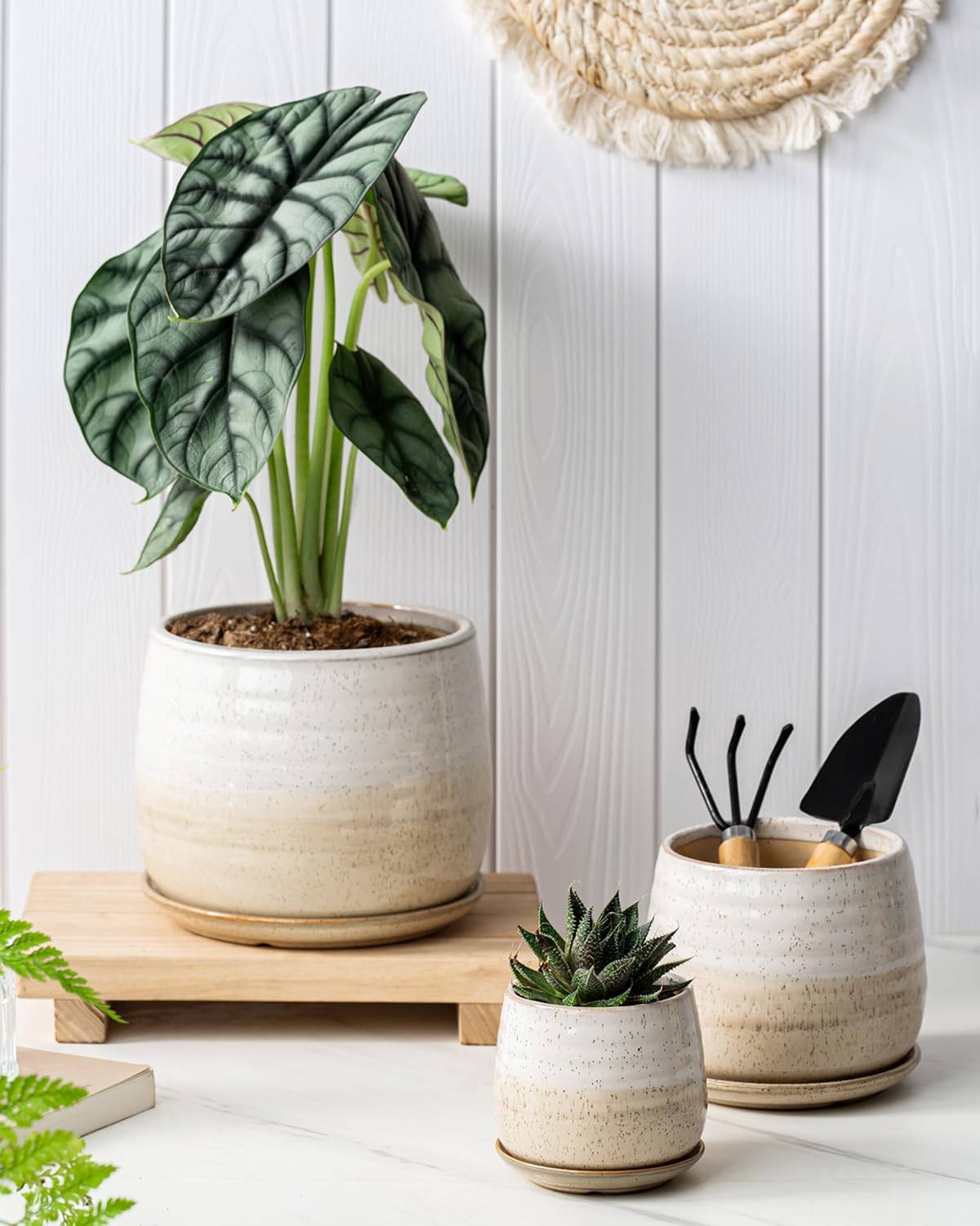 3 Pack Ceramic Small Plant Pots Planters for Indoor Flowers Plants with Drainage Holes & Saucer, Cactus Succulent, Home Decor, 3.4+4.7+6.1 Inch Flower Pot Set of 3, White