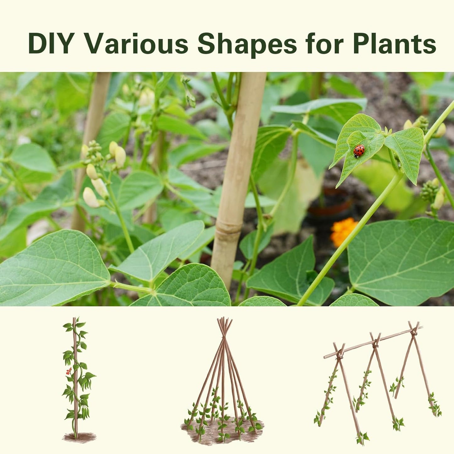 Bamboo Stakes 8 Feet, 96 inch Garden Stakes Multi-Purpose, Bamboo Plant Support Stakes for Tomatos, Beans, Cucumbers, Peppers, Potted Trees, Maintain The Plant Posture, Strengthen and Stem