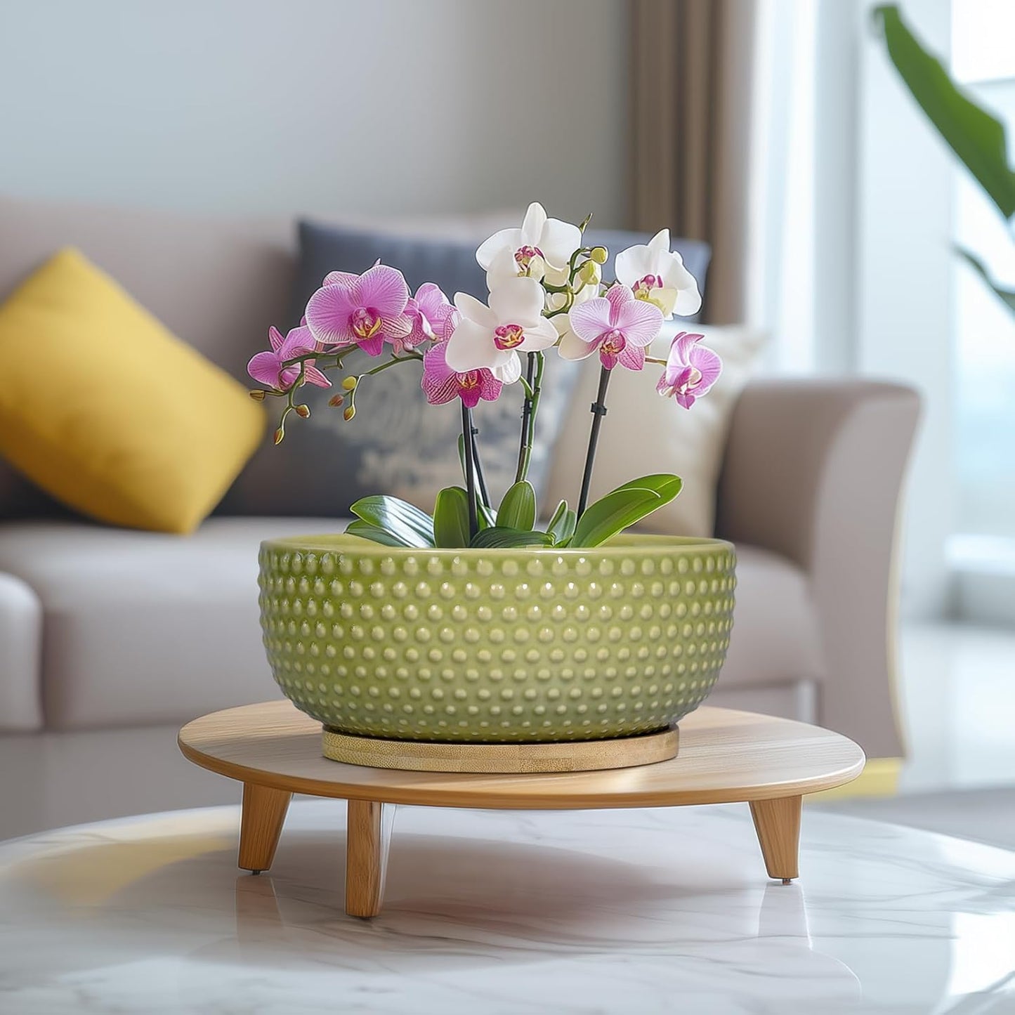 Bonsai Planter - 8 Inch Ceramic Succulent Pots with Drainage Hole and Saucer for Indoor Plants, Boho Shallow Round Planter Bowl, Desk Decor, Garden Lover Gifts, Green