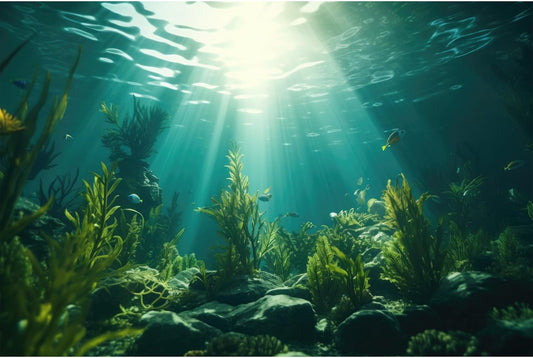 Ocean Aquarium Background Aquatic Plants with Rocks Terrarium Backdrop Sunlight Rays Deep Sea Fish Tank Background Aquarium Wallpaper Poster Decor Vinyl 48x20in