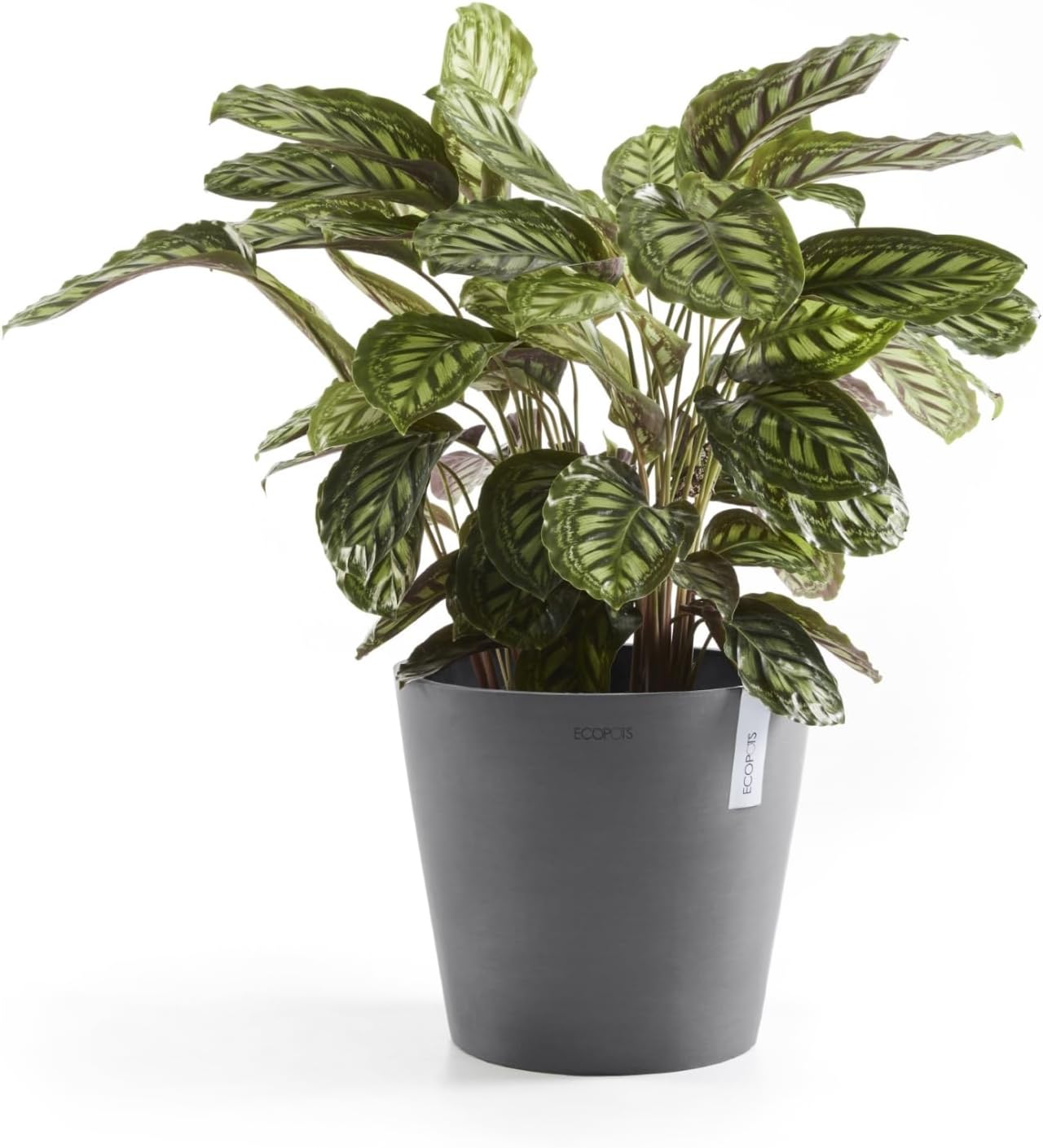 Ecopots Amsterdam Durable Modern Round Indoor/Outdoor Recycled-Based Composite Flower Pot Planter, Grey, 16"