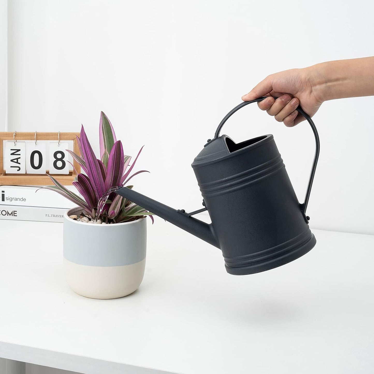 Plastic Indoor Watering Can with Sprinkler Head - 68 oz, 1/2 Gallon