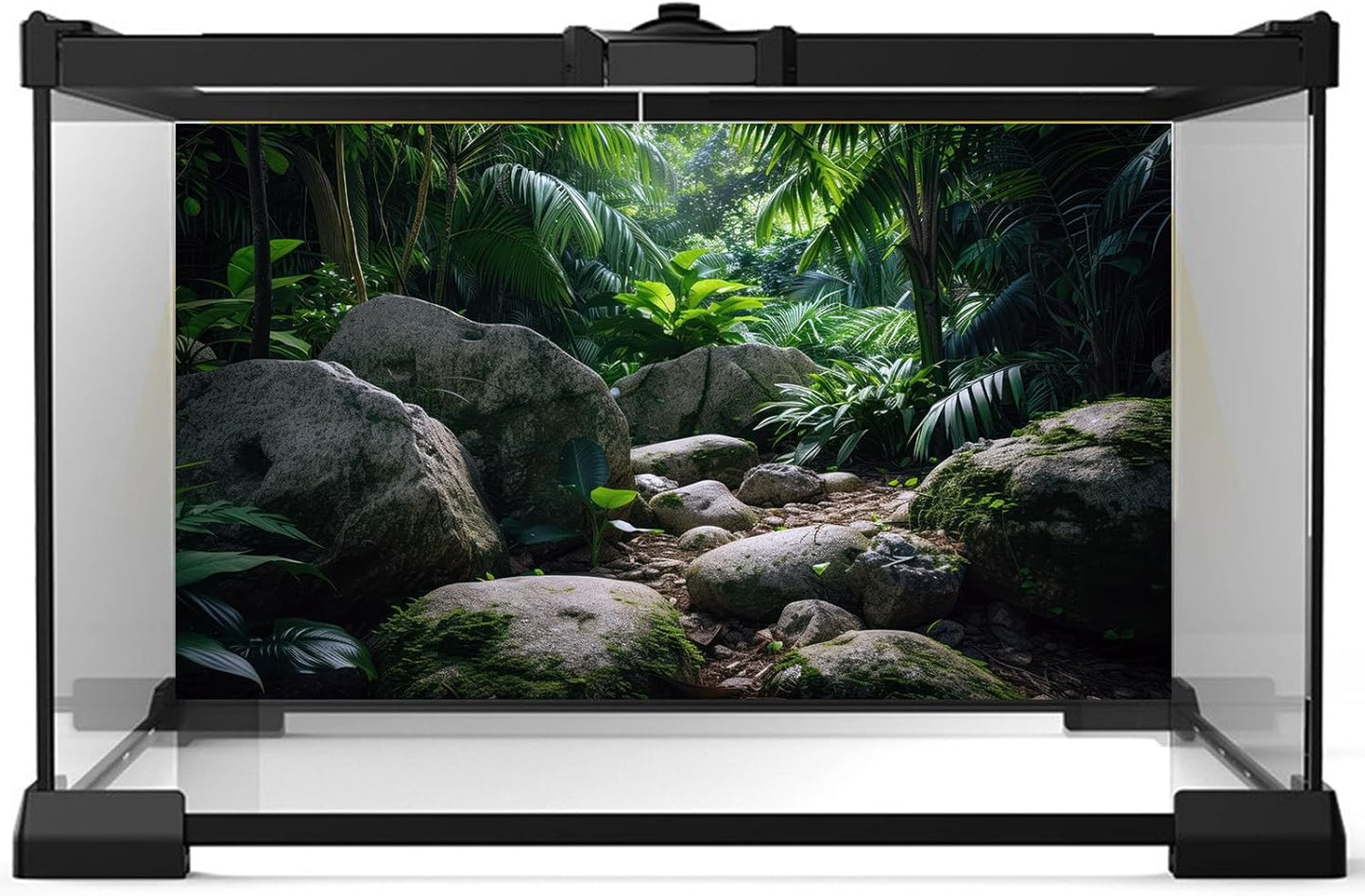 Reptile Habitat Backdrop Lush Tropical Plants and Rocks Terrarium Backdrop Dense Vegetation with Large Broad Leaves and Ferns Fish Tank Background Aquarium Wallpaper Poster Decor Vinyl 48x18in