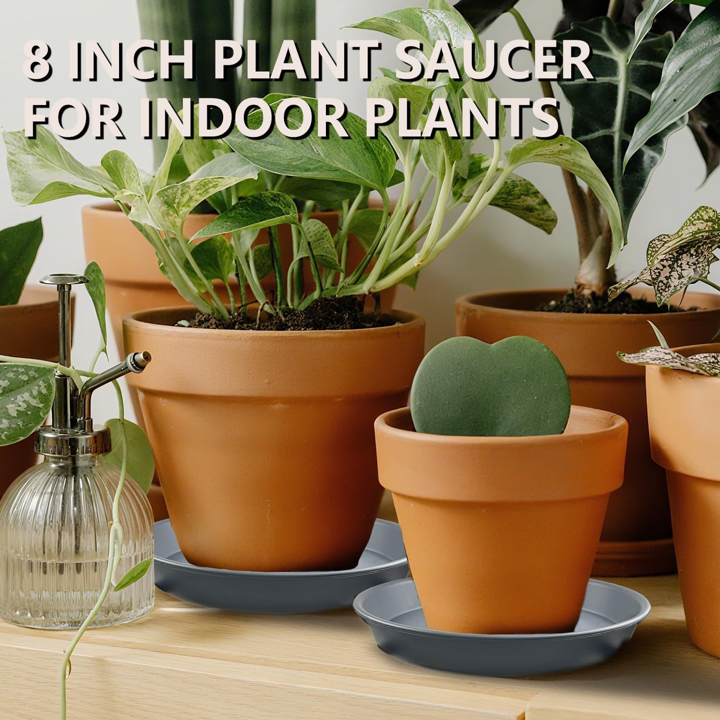 6 Pack 8-Inch Gray Plant Saucer Trays, Durable PP Plastic Pot Bases for Small Medium Planters, Modern Round Flower Pot Water Catcher Plates & Drip Trays for Indoor Plant Care