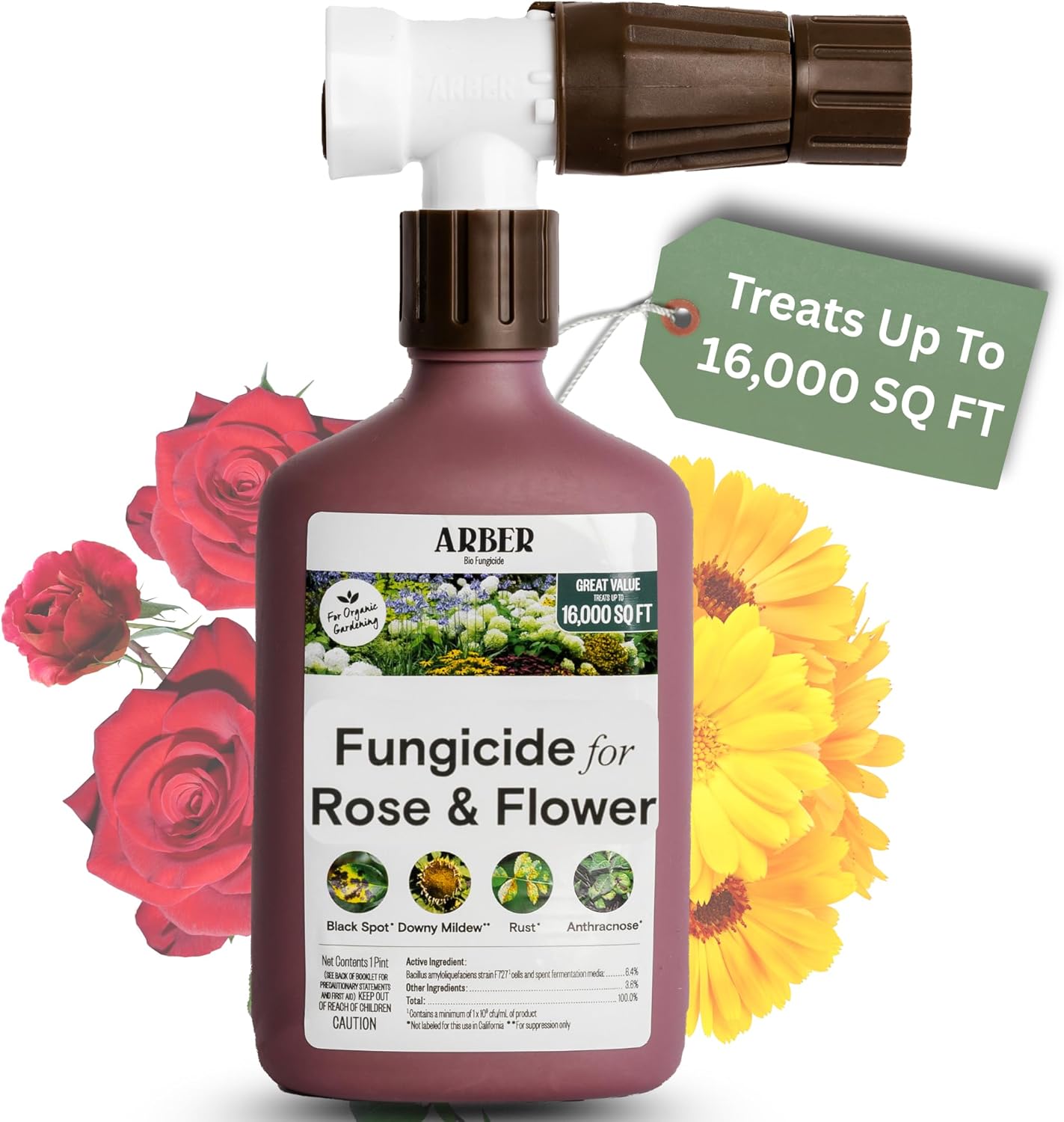 Organic Fungicide for Rose & Flower | 16oz Ready-to-Spray | Controls Powdery Mildew, Black Spot, and Blight | Safe for Organic Gardening