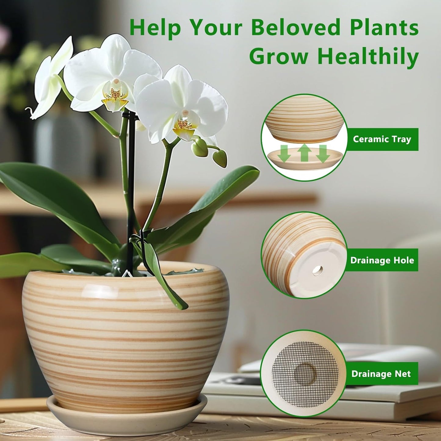 6 Inch Plant Pot Ceramic - Decorative Planter for Indoor Plants Succulent Pot with Drainage Hole and Saucer Round Planter Outdoor Flower Pot for House Patio Yellow