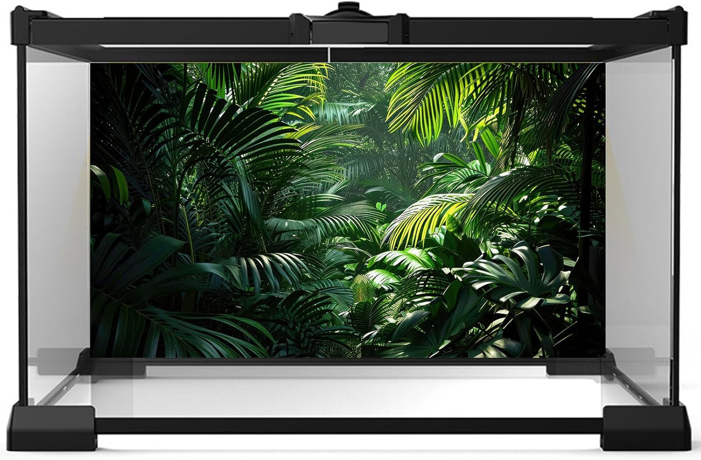 Aquarium Background Enchanting Beauty of Jungle Terrarium Backdrop Nature Jungle Green Leaf Palms Fish Tank Background Reptile Habitat Backdrop Wallpaper Poster Decor Vinyl 30x12in