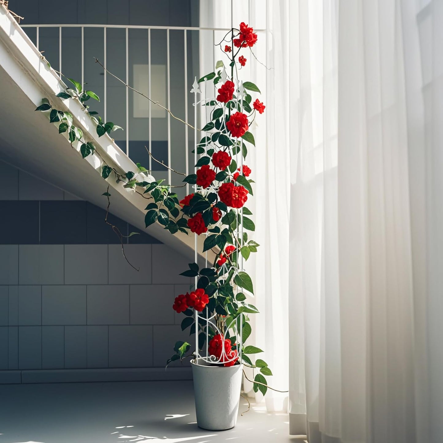 Garden Trellis 2 Pack 72'' H x 12'' W Metal Plant Trellis Indoor/Outdoor Metal Garden Trellis Plant Trellis for Potted Plants Climbing Houseplants Flowers