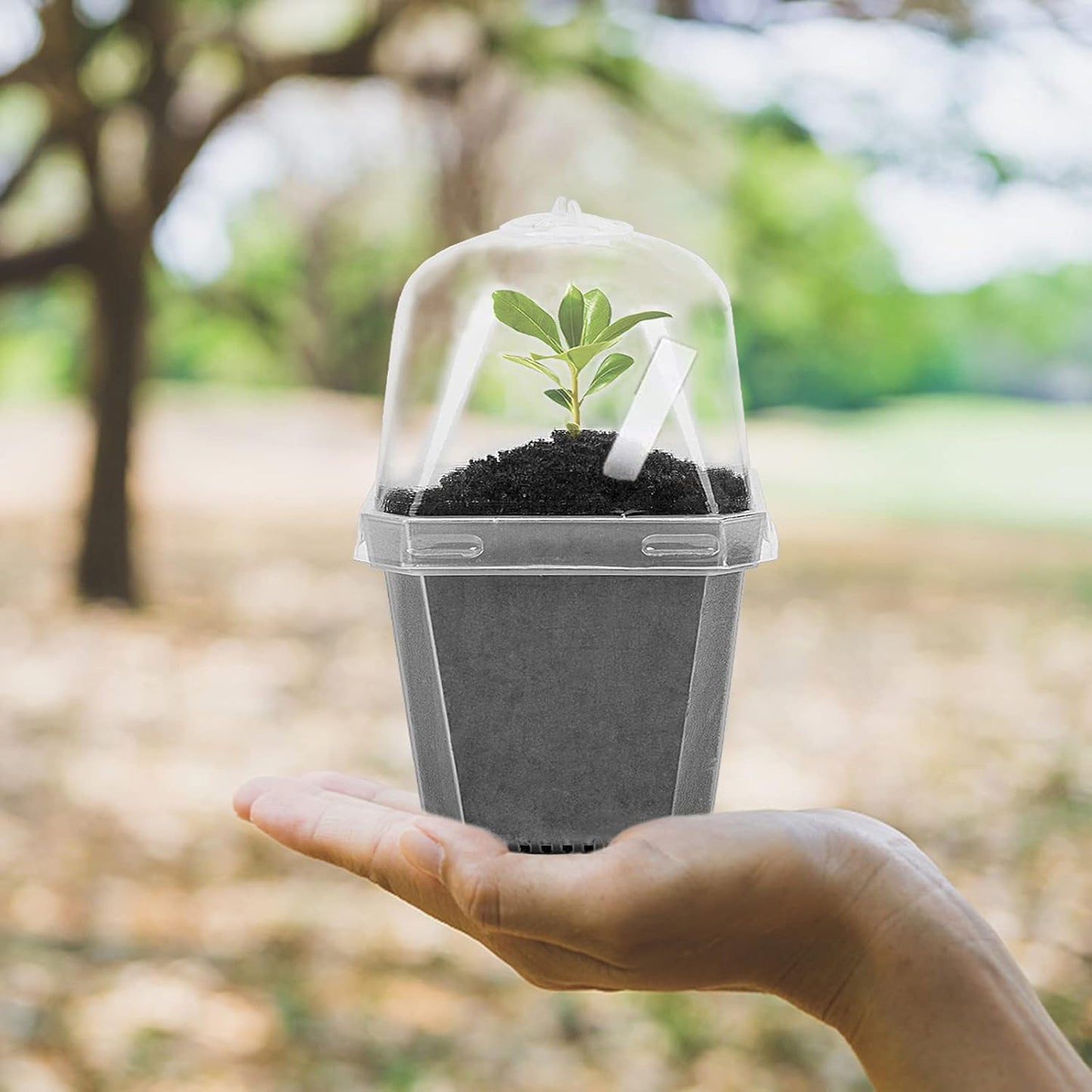 EBaokuup 4" Clear Plant Nursery Pots with Humidity Dome, 10PCS Plastic Gardening Pot Plant Container, Seed Starting Pot with Drain Holes for Seedlings/Vegetables/Succulents/Cuttings