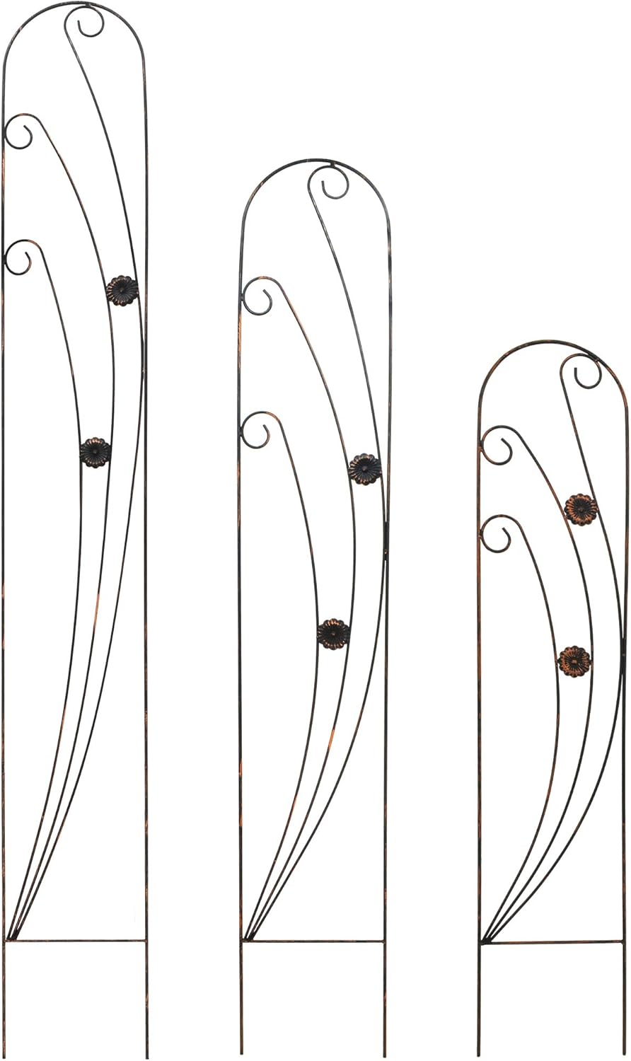 TR07 Phoenix Trellis Size: 4', Black