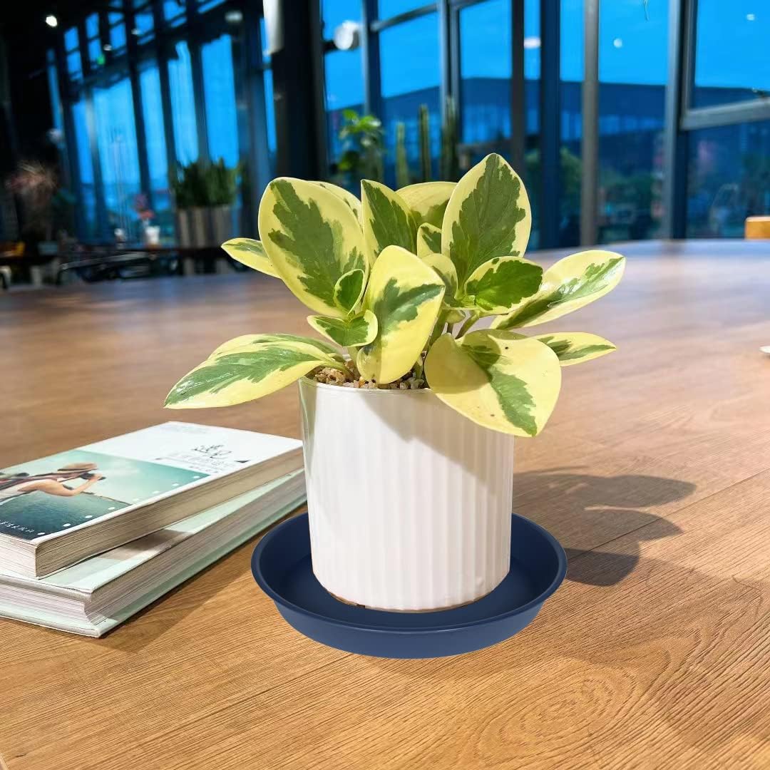 6 Pack of 8 inch Plant Saucer Blue, Plastic Plant Water Tray 8 inch Round, Flower Plant Saucers for Indoors, Dlant Dishes Saucer for Planter 7"/8" (8", Blue)