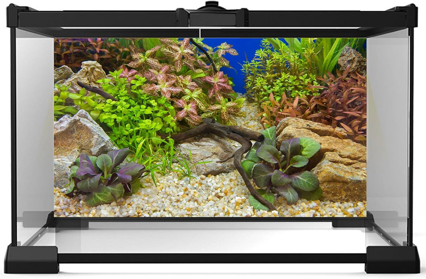 Aquarium Background Various Underwater Grass Plants Pebble Aquarium Backdrop Vivid and Fresh Green Aquatic Plants Stone River Bed and Dead Wood Purple Leaves Tank Background Vinyl 24x12in