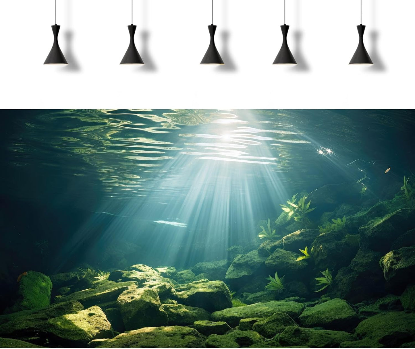 Under The Sea Aquarium Background Aquatic Plants Deep Sea Fish Tank Background Underwater Sunray Rock Terrarium Backgrounds Deep Ocean Floor Tropical Fish Tank Backgrounds 24x16in