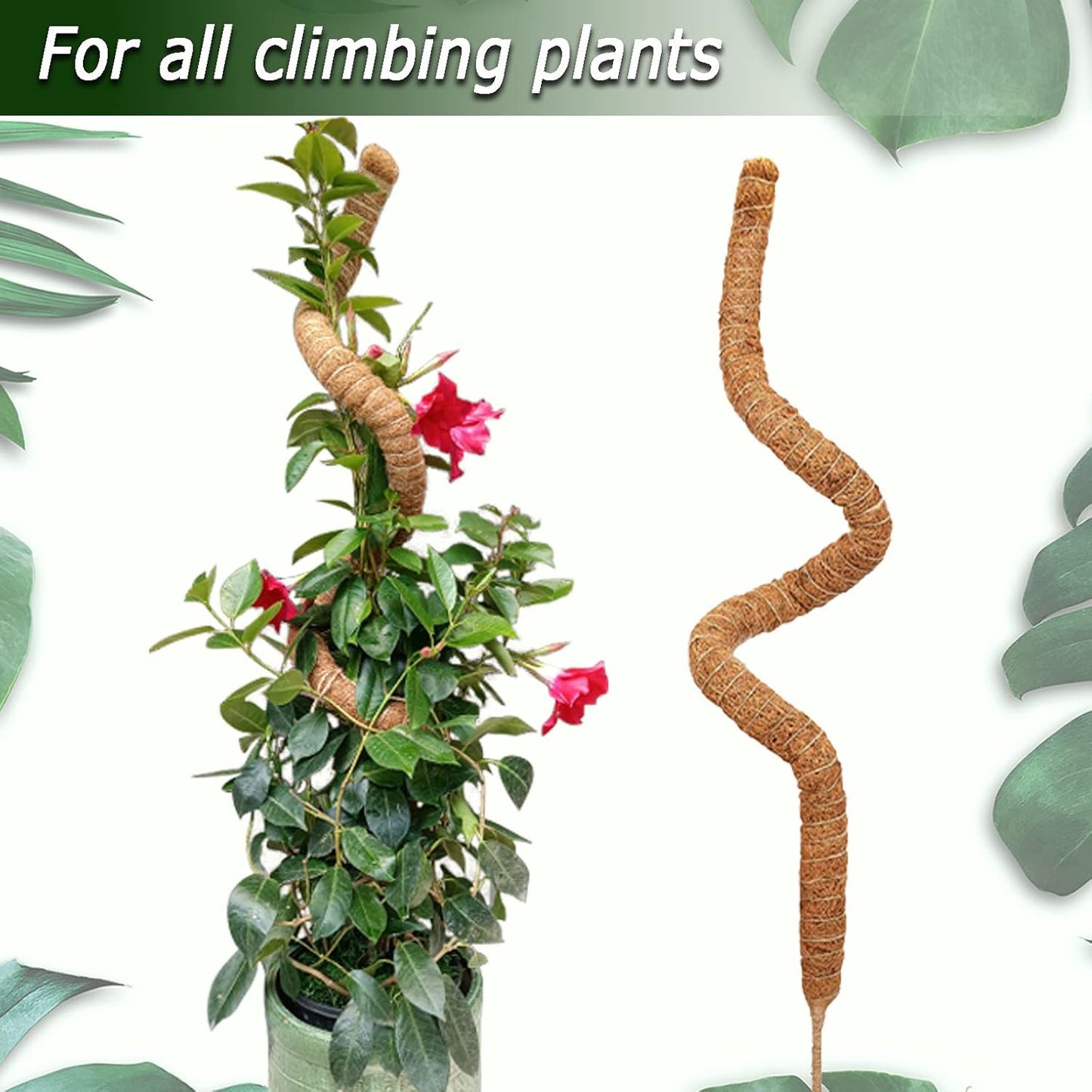 60 Inch Moss Pole for Plants Monstera, Tall Bendable Moss Poles for Climbing Plants Indoor, Large Handmade Plant Pole Sticks, Coco Coir Plant Support Stakes for Potted Plants, Pothos