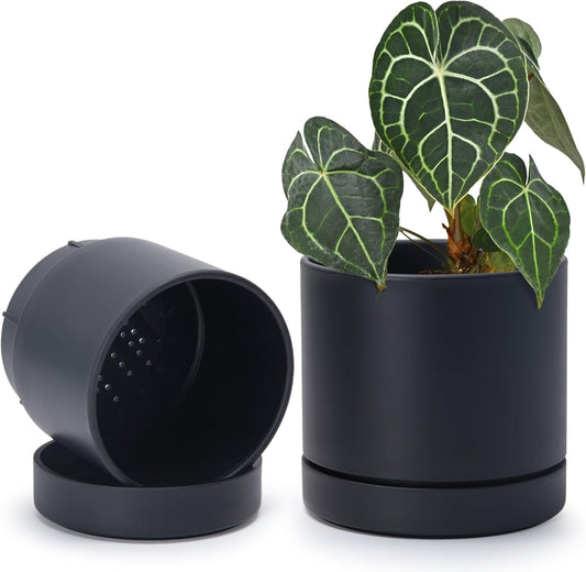 Phoenix Vine 6 Inch Planter Pot with Drainage Hole & Saucer, Deep Water Catch Tray, Straight Cylindrical Round Pot for Plants, Matte Black, Pack of 2, 23-C-S-2