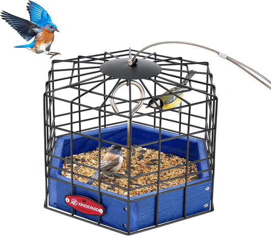 Kingsyard Squirrel Proof Platform Bird Feeder for Outdoor Hanging, Caged Bird Feeder for Bluebird Mealworm, Recycled Plastic Feeding Platform with Metal Mesh Tray, Special for Small Birds, Blue