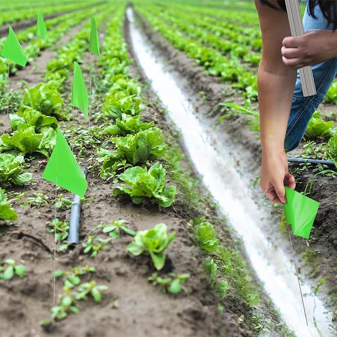 Zozen 100Pack Green Marking Flags, Writable/15x4x5 Inch, Yard Flags for Lawn & Irrigation & Landscape & Sprinkler & Survey & Dog Training.