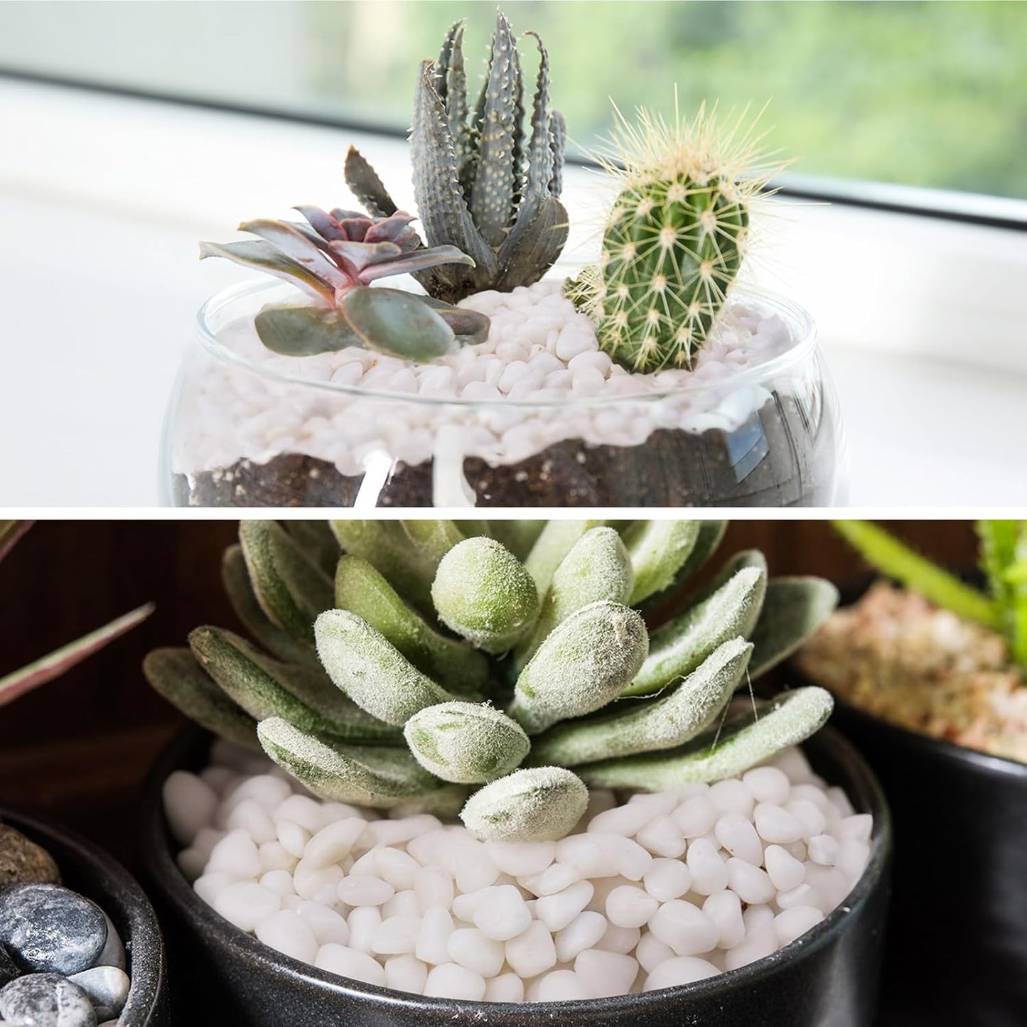 5 lbs White Pebbles for Vases, 3/8" Small Plant Rocks for Pots Indoor, Decorative Pea Gravel for Succulents, Bamboo, Terrarium, Landscape, Garden