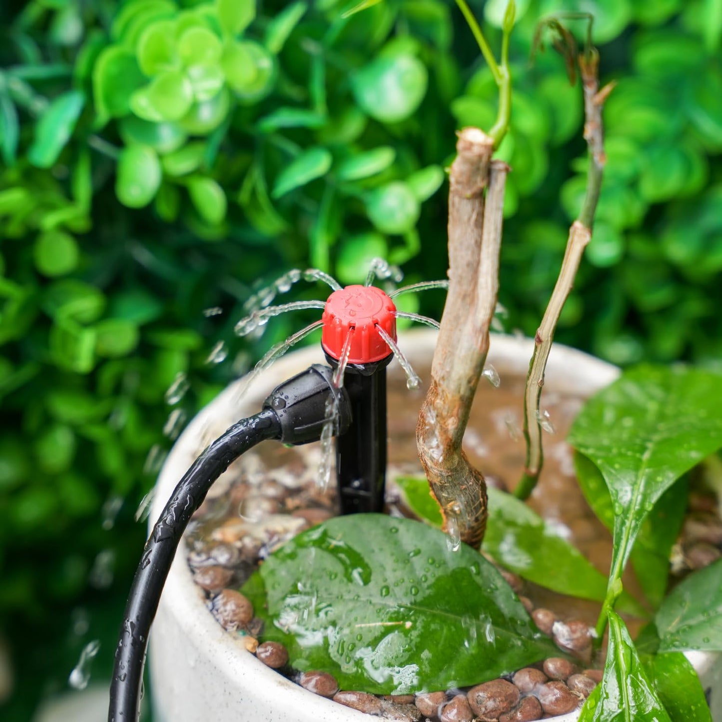 25 Pieces Drip Emitters for 1/4" Drip Irrigation Tubing, Adjustable 360 Degree Stream Drip Emitters with Stake 360° Full Circle 8 Hole Stream Emitters Garden Irrigation Micro Drippers