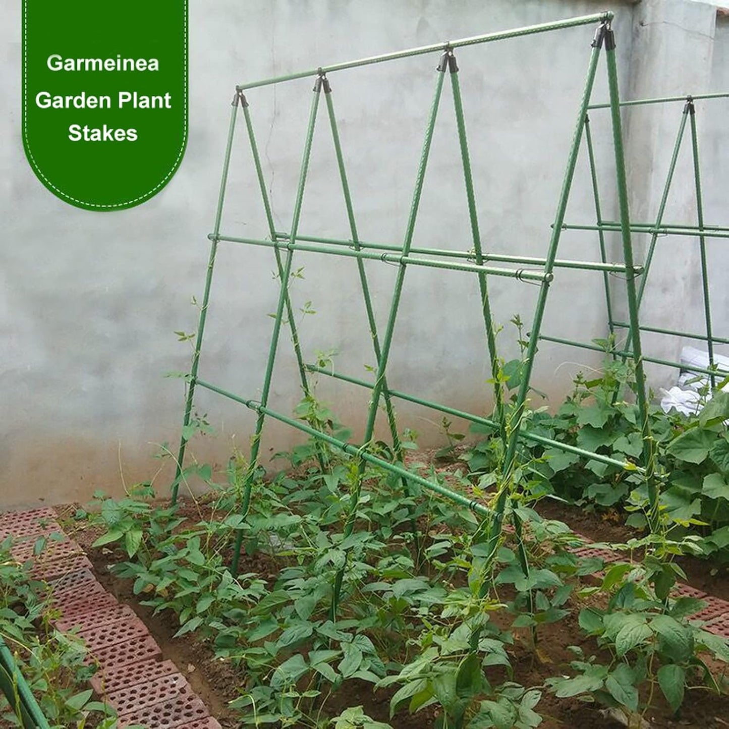 Garmeinea Garden Stakes 30 Inches Plastic Coated Steel Plant Stakes for Growing Climbing Plants, Pack of 25