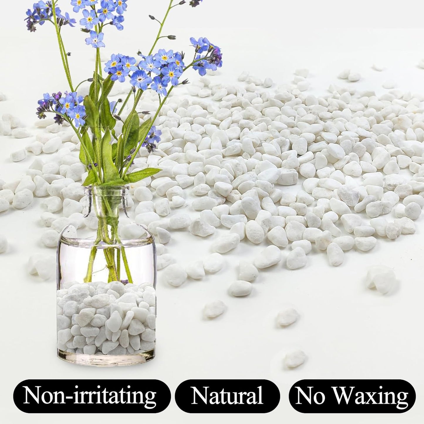 5lbs White Pebbles for Indoor Plants, 3/8inch Small Rocks for Succulent Cactus Planters, Natural Polished Pebbles, River Rocks for Plants, Vases, Garden