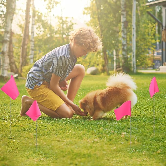 Zozen 50Pack Fluorescent Pink Marking Flags, Writable/15x4x5 Inch, Yard Flags for Lawn & Irrigation & Landscape & Sprinkler & Survey & Dog Training.