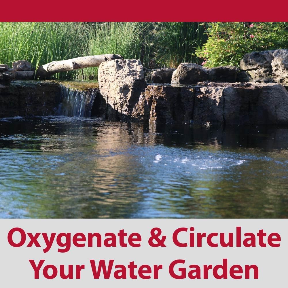 The Pond Guy Pond Aerator 1, Complete Aeration Kit, Water Garden Oxygenation Bubbler System Adds Oxygen to Koi & Fish Ponds, Outdoor Diaphragm Compressor Pump, Air Line & 1 Submersible Diffuser Stick