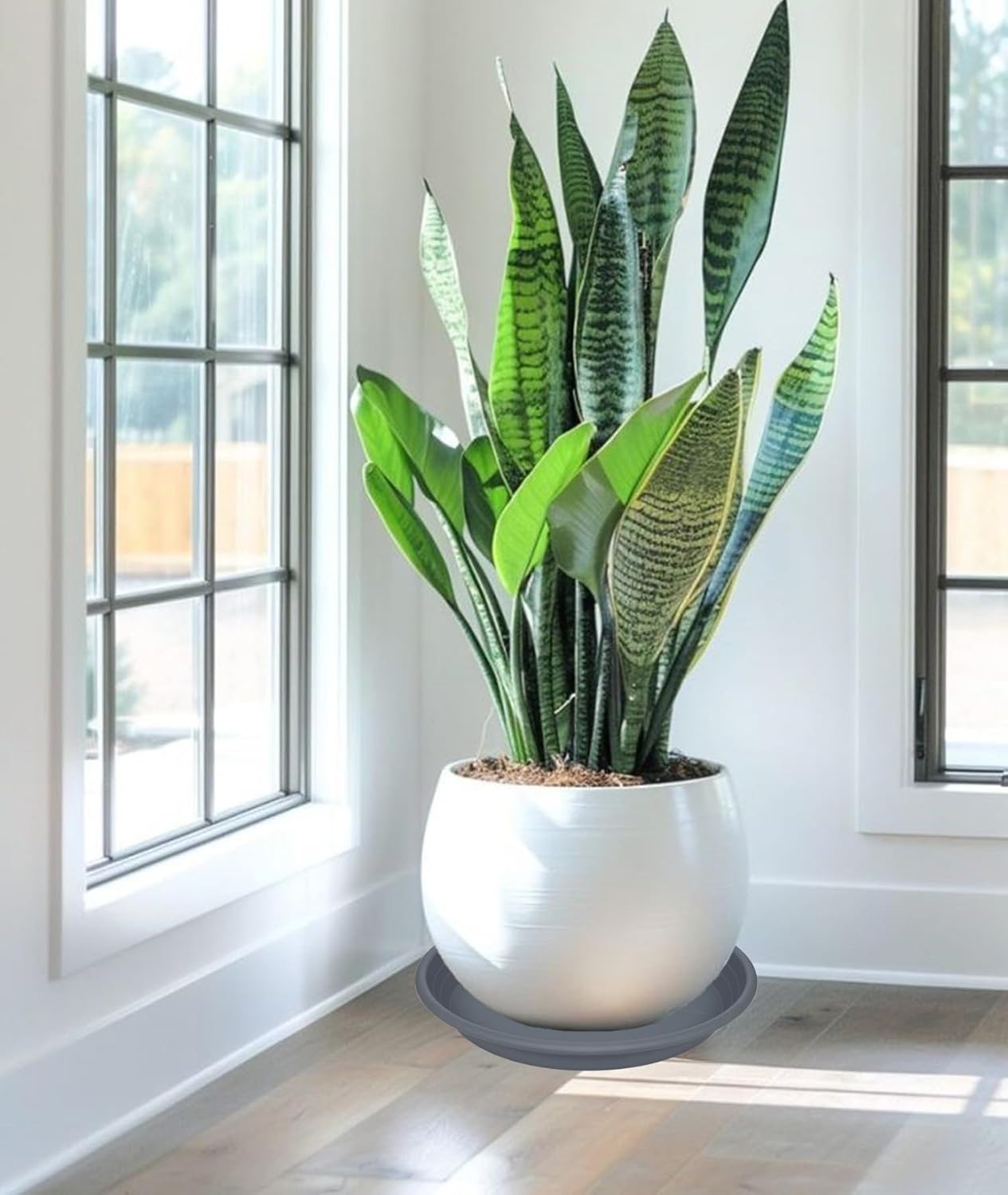 2 Pack of 19 inch Plant Saucer, Large Plant Tray, Heavy Sturdy Plant Drainage Tray for Indoors, Bird Bath Bowls, Sturdy 18 inch Plastic Pot Tray for Planter (Gray)