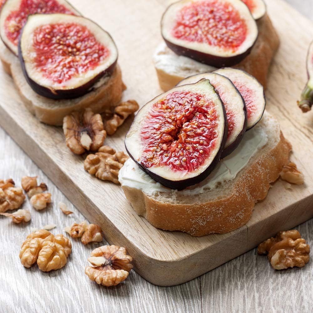 Chicago Hardy 2 Pack