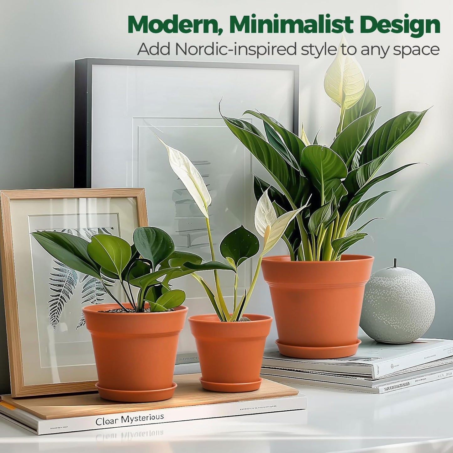 T4U 6 Inch Plant Pot 8-Pack, Plastic Planter with Drainage Hole and Saucer, Decorative Nursery Pots Bulk for African Violet, Snake Plant, Succulent, Herb and Plants Indoor (8 Pcs 6" Pots)