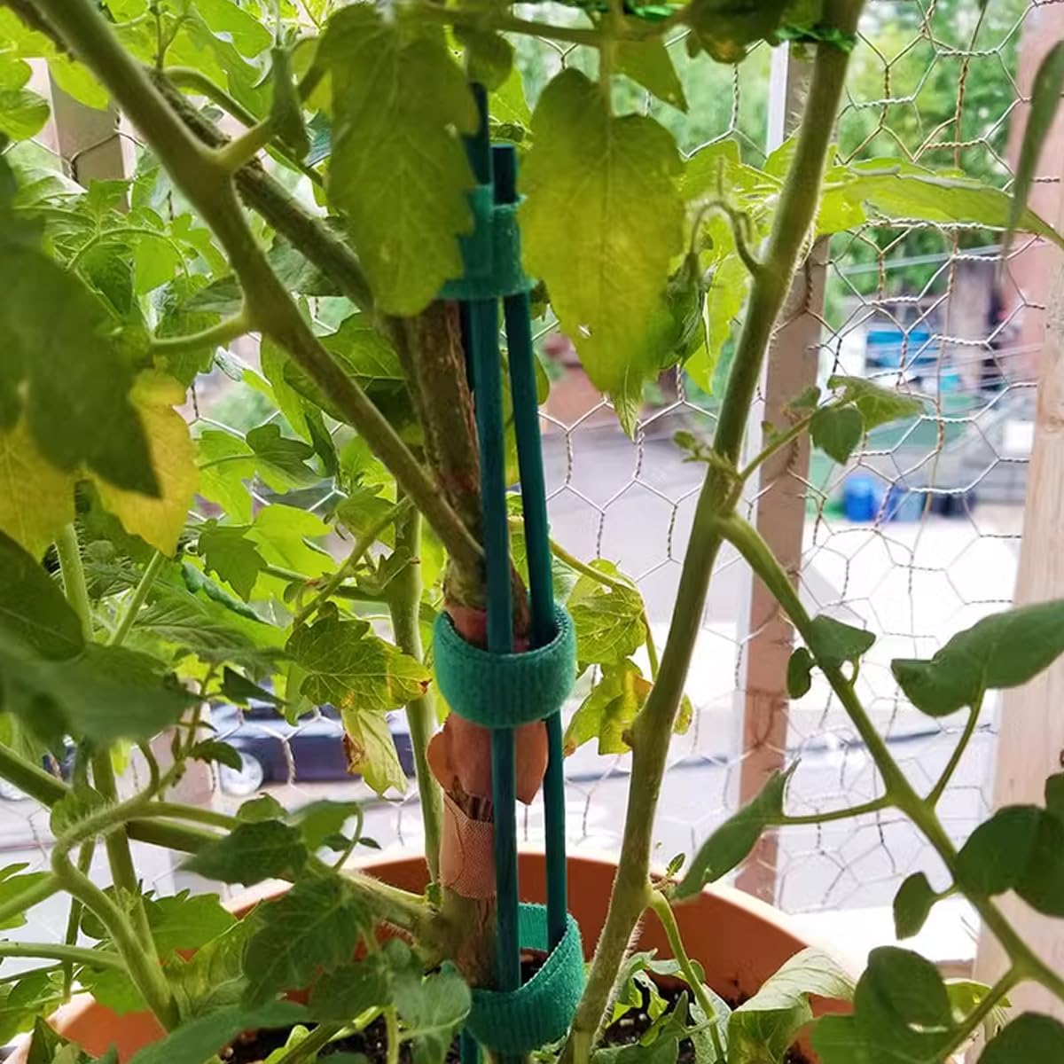 TIHOOD 100PCS 18" Wooden Garden Stakes with 100PCS 4" Garden Ties, Green Bamboo Sticks, Floral Plant Support, Tomato Stakes