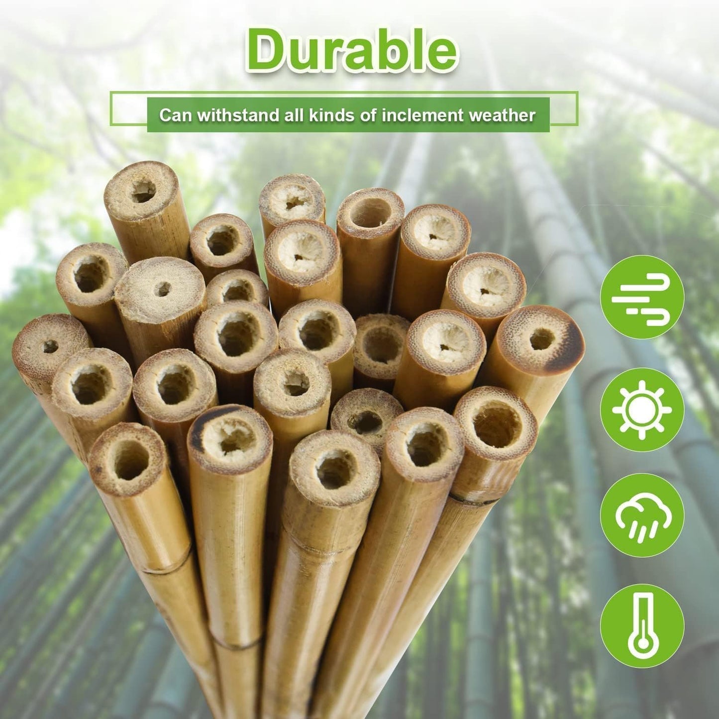 7/20" D 3 Feet Bamboo Stakes 50 Pack, Thicker Heavy-Duty Plant Stakes, Natural Garden Stakes for Bean, Tomato, Bean, Flowers,Trees Potted and Climbing Plant Support