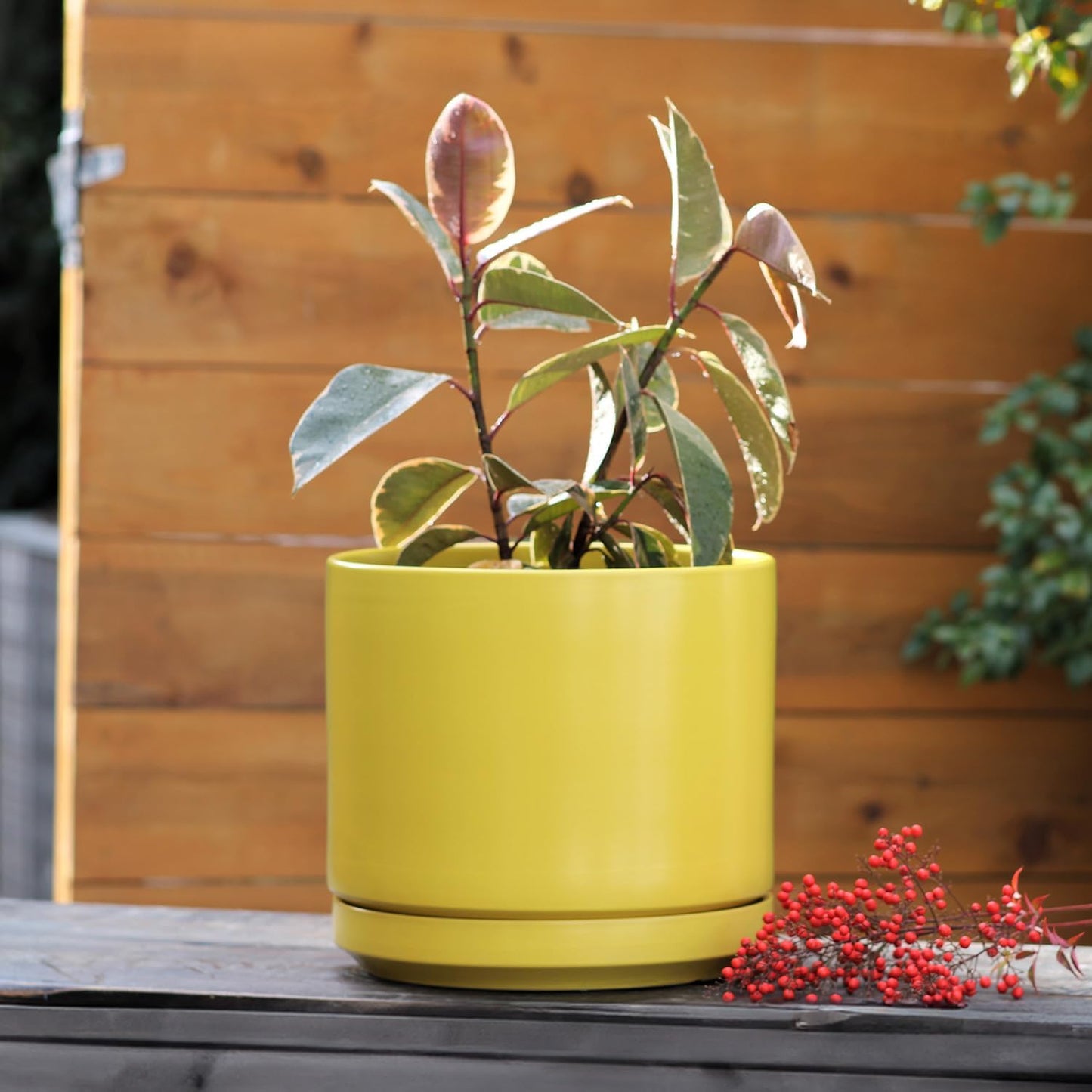 Mid Modern Planter with Detached Saucer (Bumblebee,14.0" D x 12.0" H)