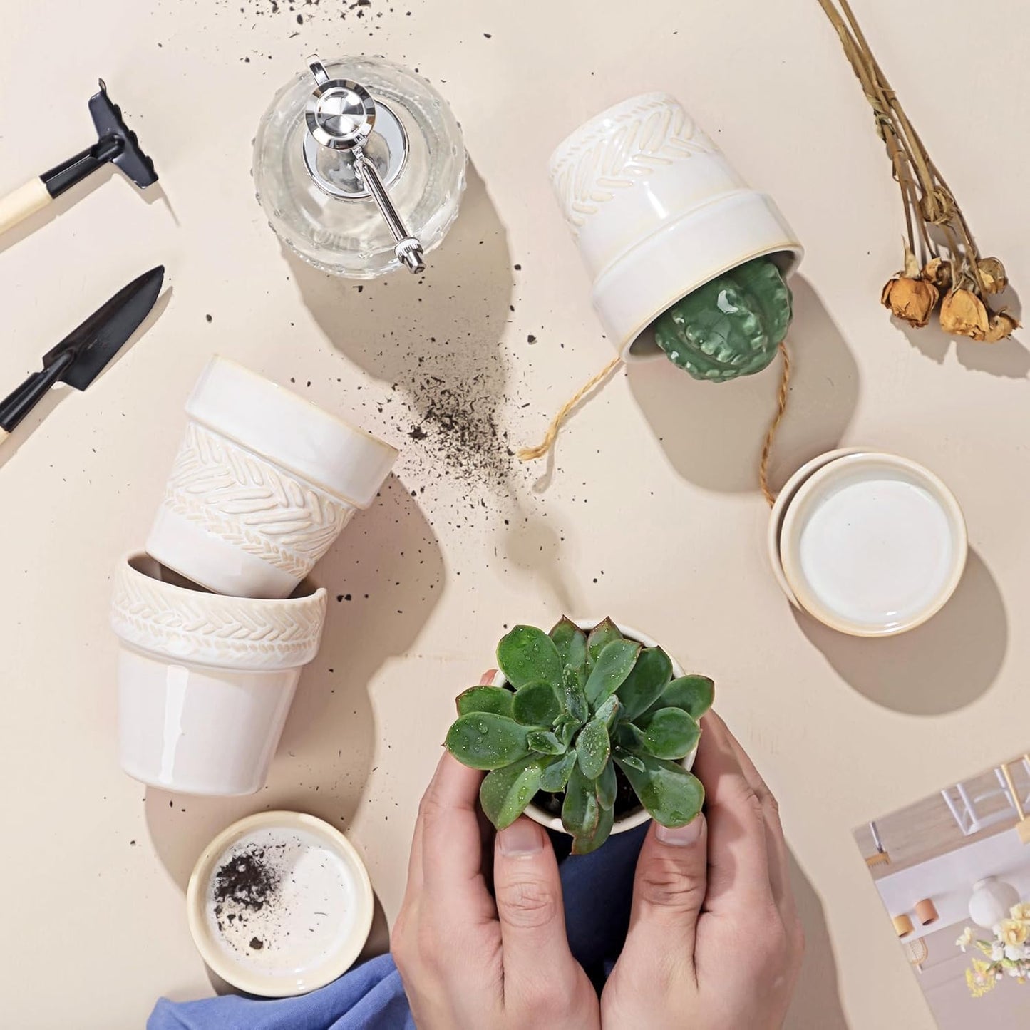 Succulent pots,Indoor Small Succulent Bonsai,3 Inch Mini Ceramic Succulent Pots with Saucer and Drainage Hole, Decorative Planter for Succulent, Cactus, Set of 4.