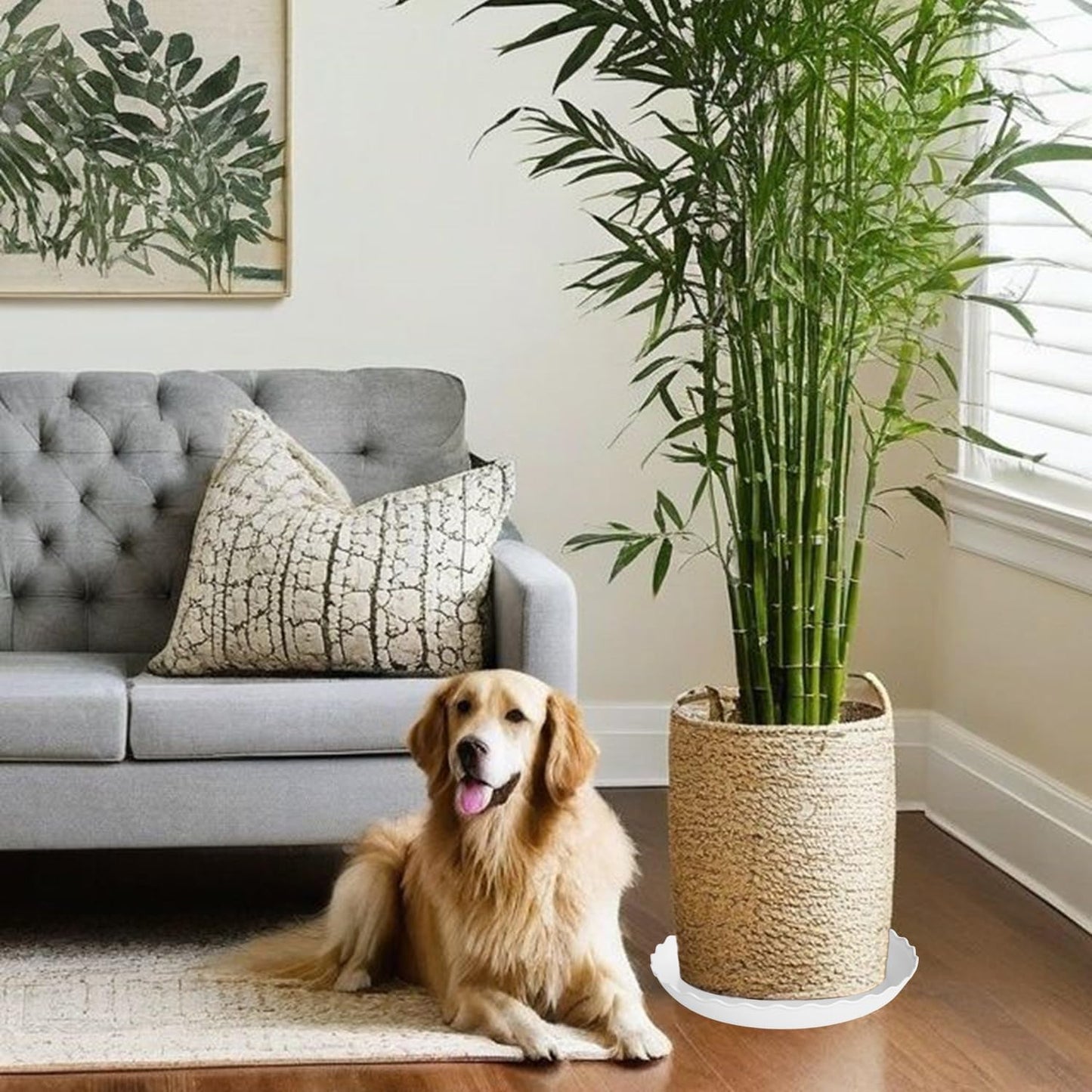 6 Pack Plant Saucer 8 inch, Heavy Duty Plastic Plant Water Tray, Planter Saucers, Flower Pot Tray Water Trays for Plant Pots (White)