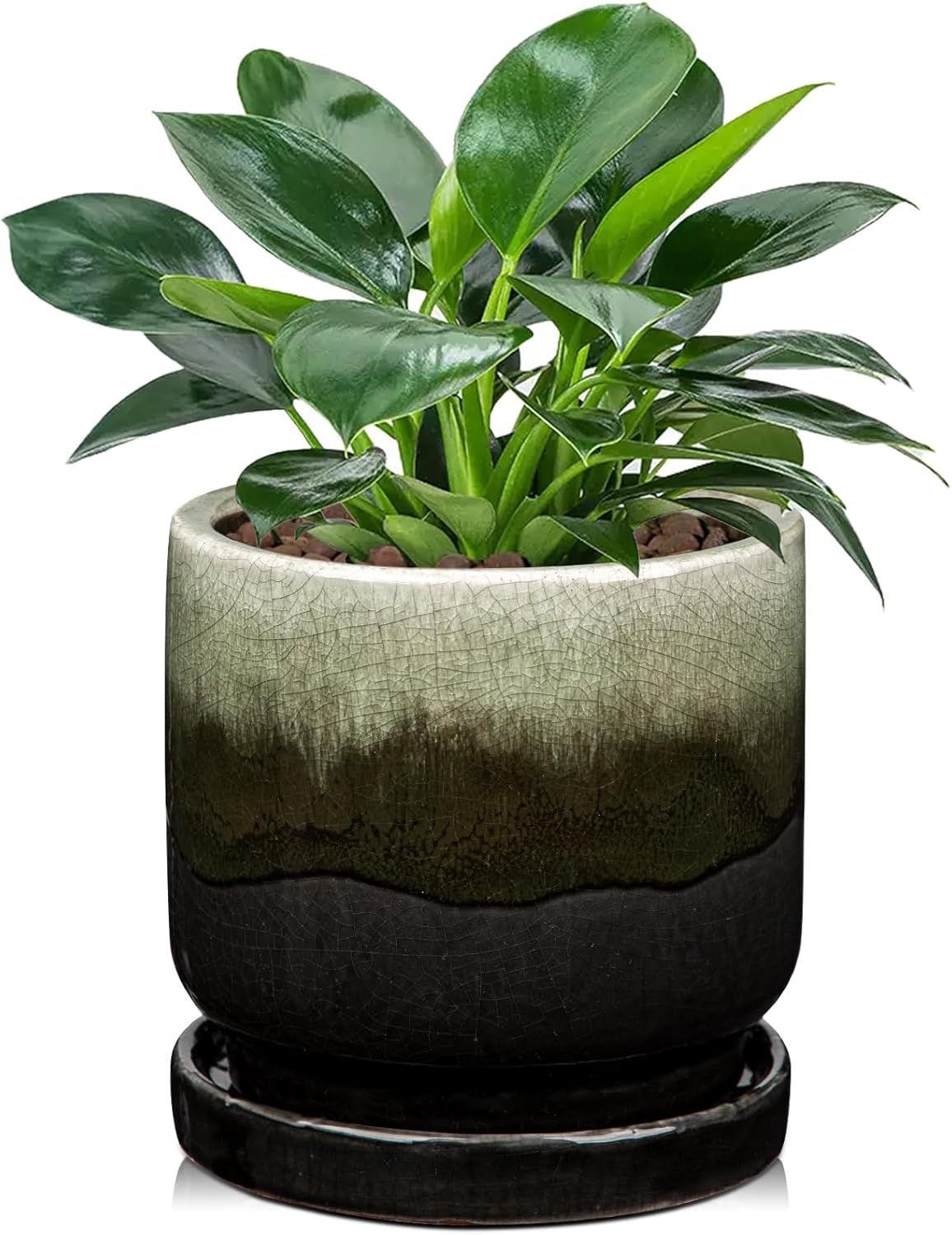 Oairse Ceramic Pot for Plants - 5.5 inch Small Planter with Drainage Hole and Saucers - Gradient Black Outdoor Indoor Flower Pot for Succulent, Cactus, Snake Plant, Herb