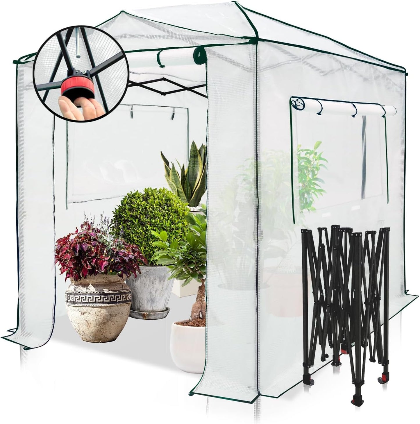 EAGLE PEAK Instant Pop-up Greenhouse, Indoor Outdoor Plant Gardening Green House, Roll-Up Zipper Doors and Side Windows, Walk in 8x6 ft, White/Clear