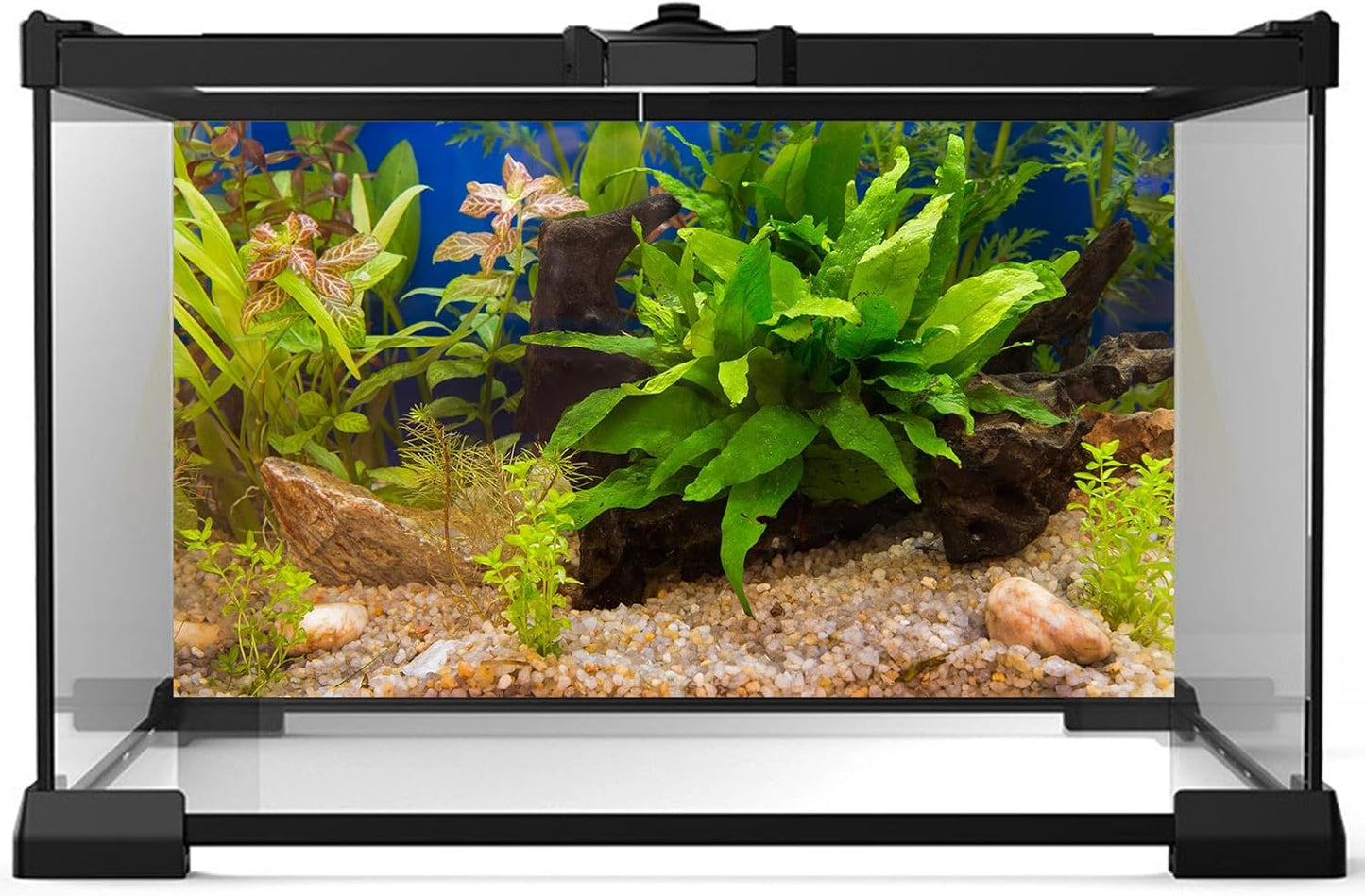 Aquarium Backdrop Underwater Grass Leaves Pebble Aquarium Background Vivid and Fresh Green Aquatic Plant Stone River Bed Fish Dead Wood Leaves Tank Background Decors Vinyl 72x16in
