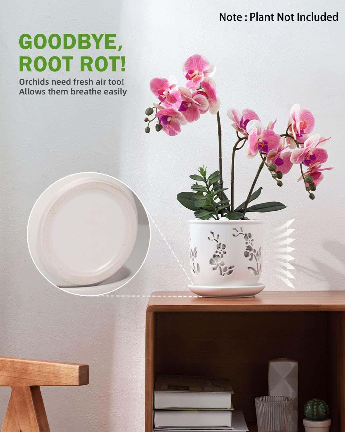 Orchid Pot, 6.5 inch Large Orchid Pots with Holes for Healthy Growth and Easy Repotting, Premium Ceramic Orchid Planter for Indoor and Outdoor Use, (Note : Plant Not Included)