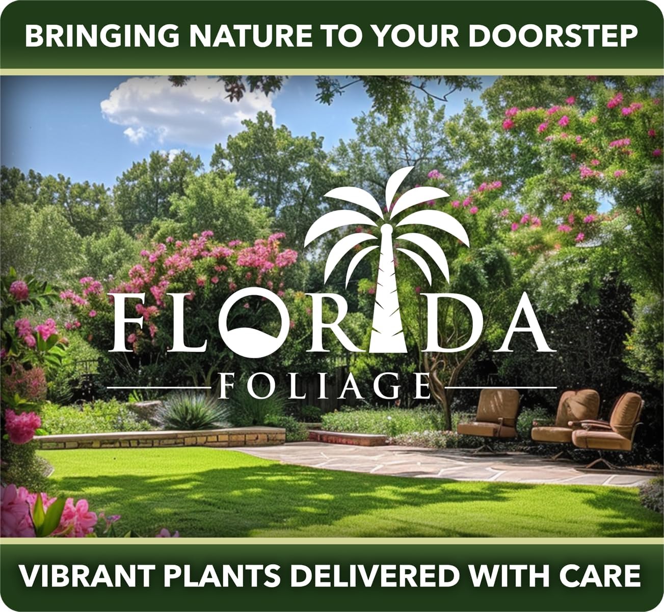 Pineapple Guava - 40 Live Plants - Feijoa Sellowiana - Edible Fruit and Flowering Foliage