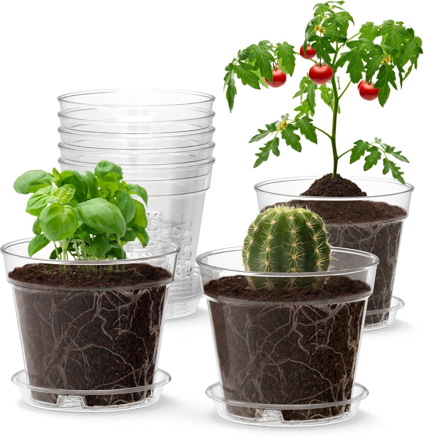 4 Inch Clear Nursery Pots, 8 Pack Highly Transparent Plant Pots for Small Indoor Plants with Drainage Holes and Trays, Plastic Seedling Starter Planters for Flowers