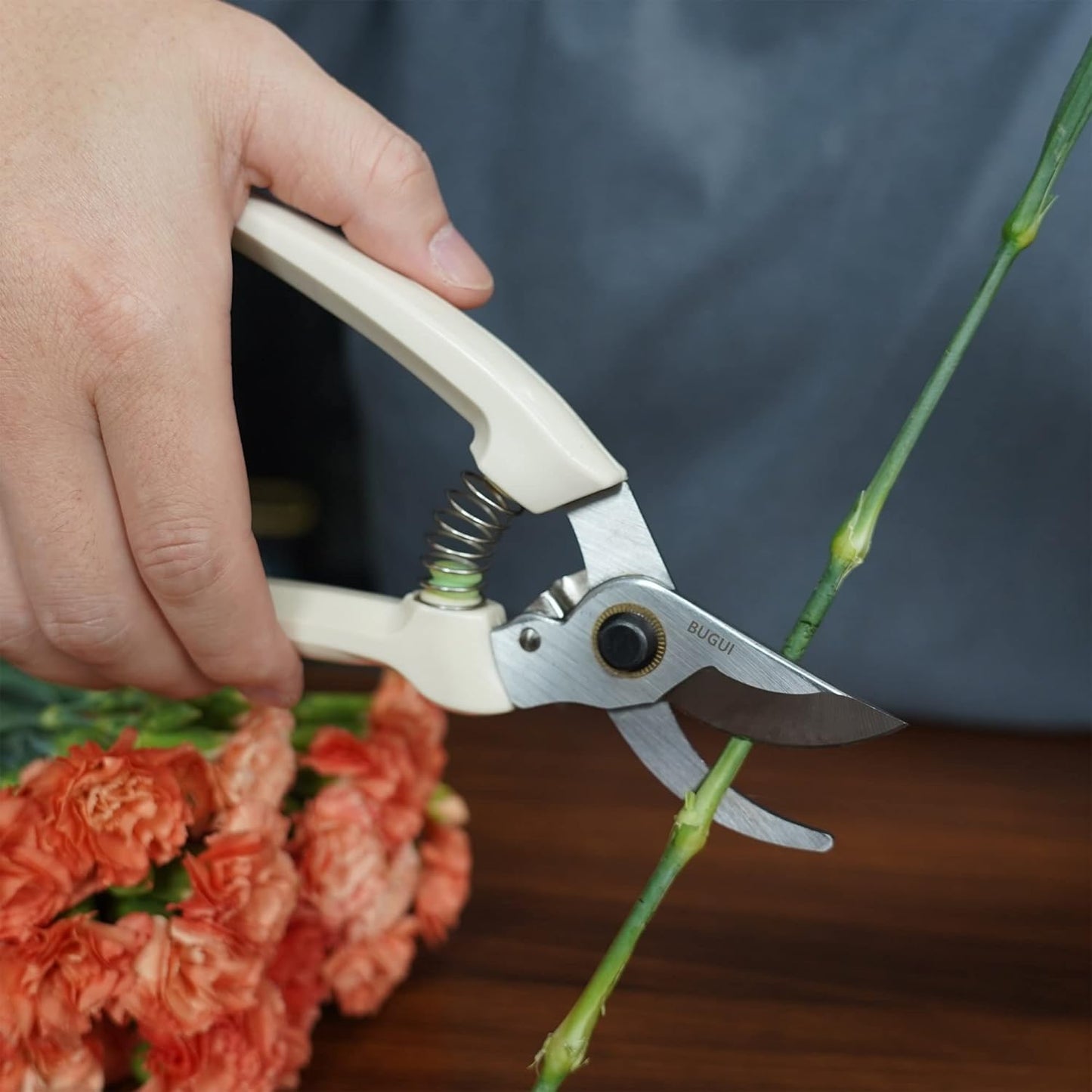 BUGUI Pruning Shears Garden Shears - Premium Alloy Steel Bypass Pruner, Precision-ground Blades, Heavy Duty Gardening Tools, 7" (H101)