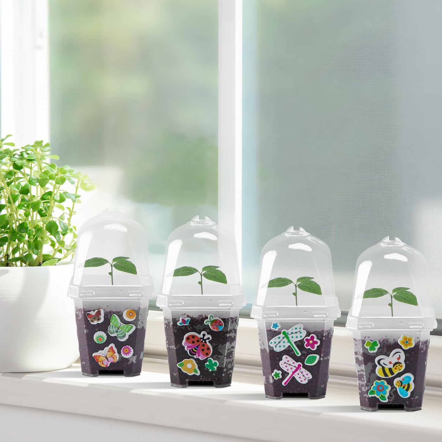 EBaokuup 10 Pcs Clear Plant Nursery Pots with Humidity Dome-3" Reusable Plastic Gardening Pot with Printed Labels-Small Seed Starting Pots for Seedlings,Vegetables,Succulents,Cuttings