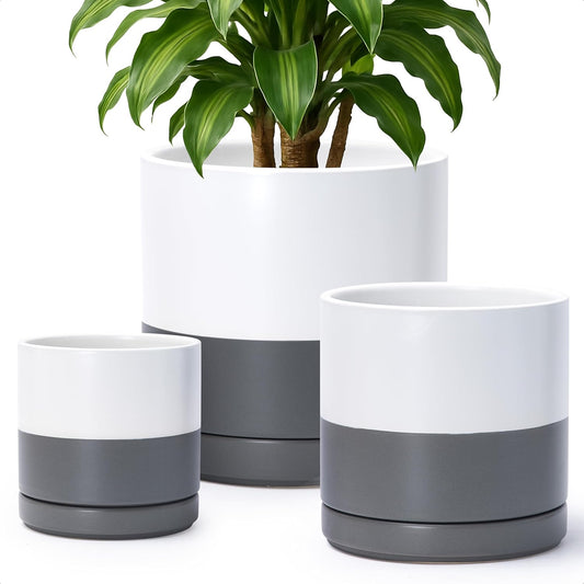 D'vine Dev 6 Inch & 8 Inch & 10 Inch, Set of 3 Round Ceramic Planter Pot with Drainage Hole and Saucer, White/Speckled Grey, 94-T-L-6