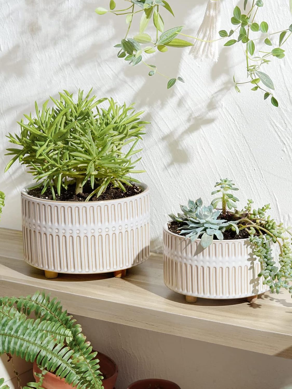 LE TAUCI Succulent Planters, 6.5+8 Inch Ceramic Indoor Plant Pot with Drainage Hole, Shallow Round Succulent Pots, Set of 2, Reactive Glaze White