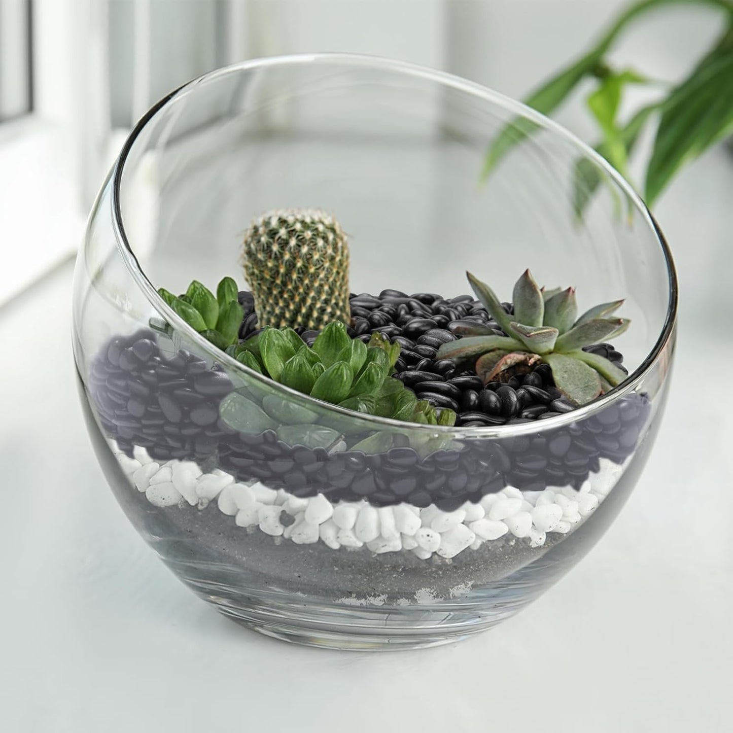 2.5 lbs Black Pebbles for Indoor Plants, Succulent, Bamboo, Vase, 3/8" Plant Rocks for Pots Indoor, Small River Rocks Decorative Pea Gravel, Highly Polished