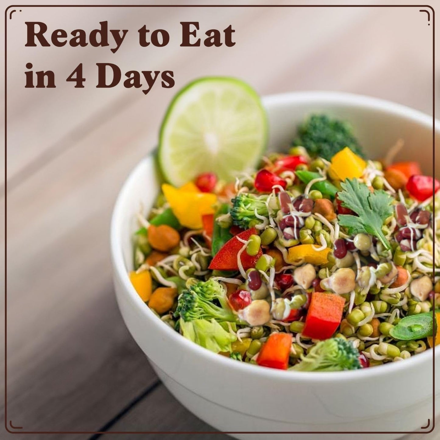 Seedboy Organic Sprouting Seeds - Protein Blend Variety - Non-GMO, USA Grown Microgreens Mix - Garbanzo, Mung, Adzuki Beans, Green Pea - Makes 2 Quarts of Sprouts, 12 Servings (8 oz) (Protein Blend)