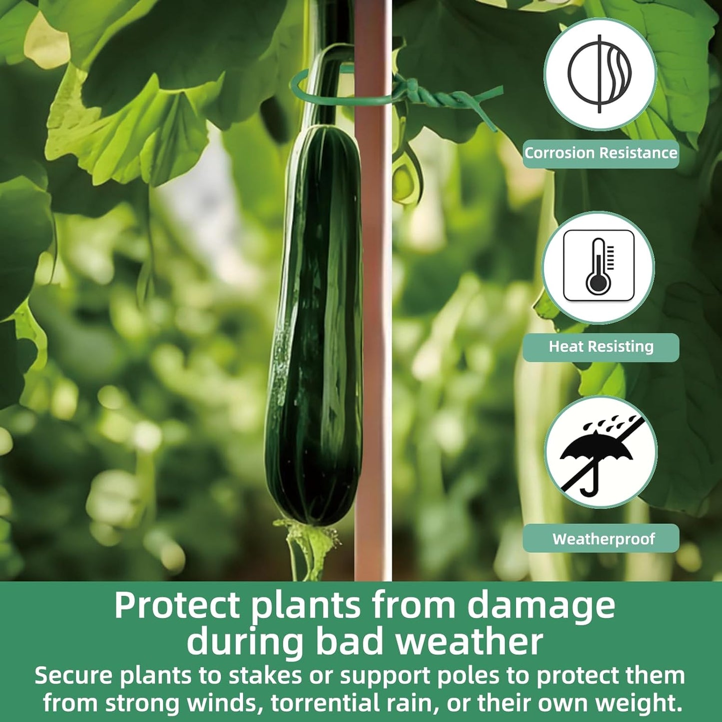 Soft Plant Ties, 164ft Garden Wire, 3.5mm Flexible Garden Ties for Climbing Plants, Tomato, Vines Plant, Flowers, Roses Plant Support